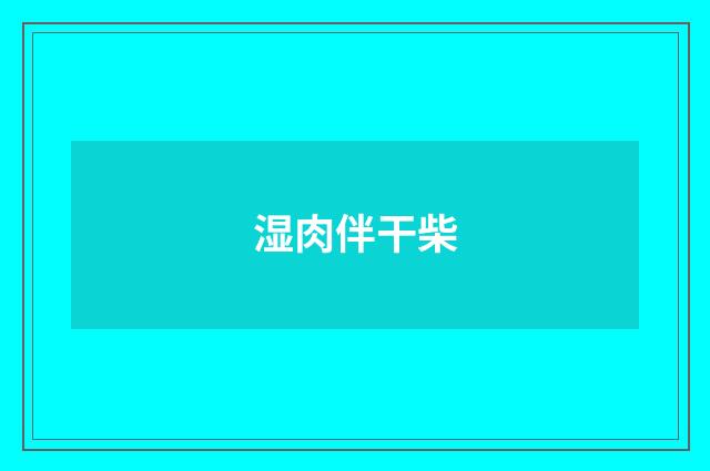 湿肉伴干柴