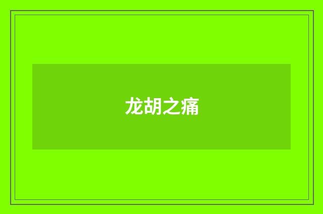 龙胡之痛