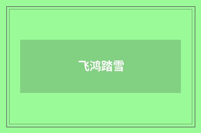飞鸿踏雪