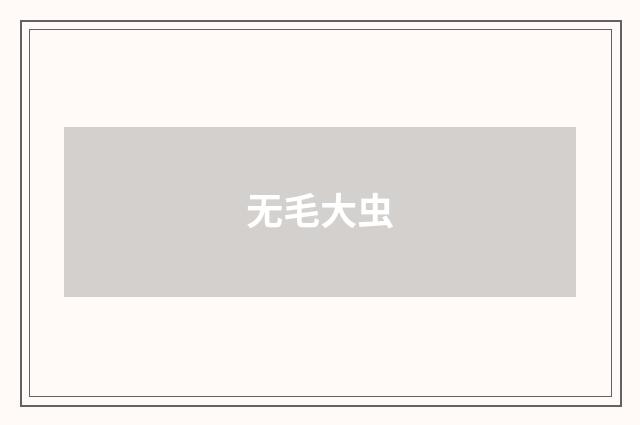 无毛大虫