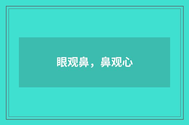 眼观鼻，鼻观心