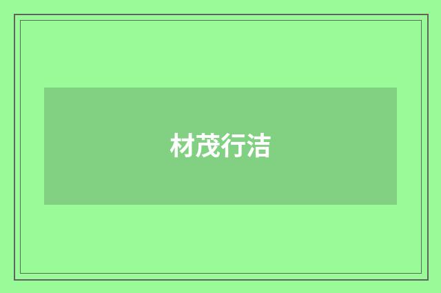 材茂行洁