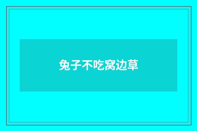 兔子不吃窝边草