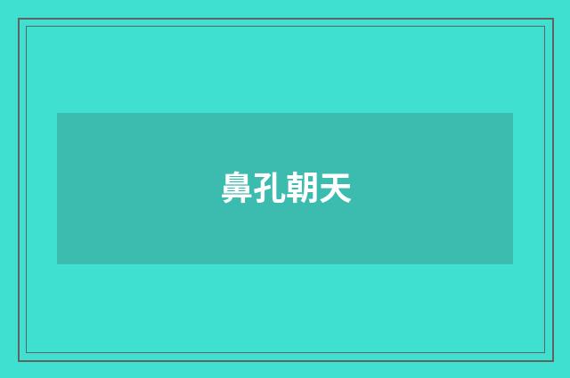 鼻孔朝天
