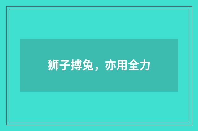 狮子搏兔，亦用全力