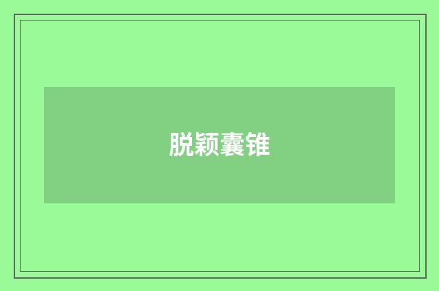 脱颖囊锥