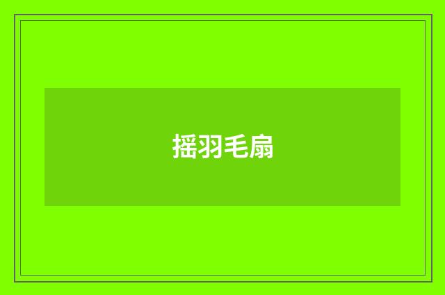 摇羽毛扇