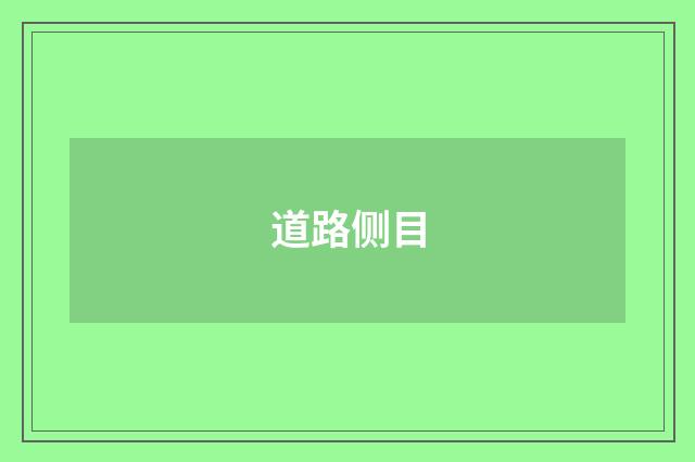 道路侧目
