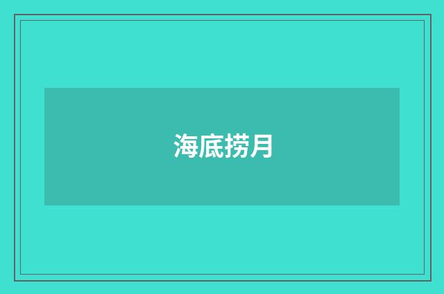 海底捞月