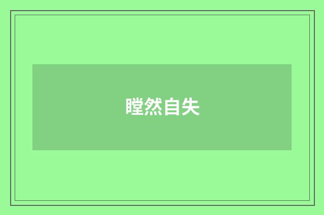 瞠然自失