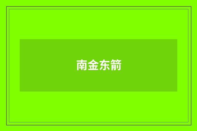 南金东箭
