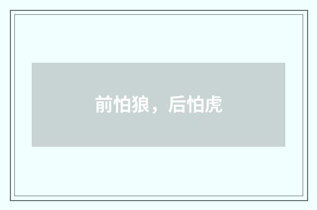 前怕狼，后怕虎