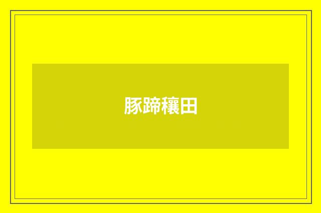 豚蹄穰田