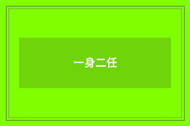 一身二任