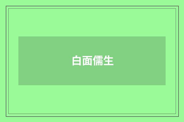 白面儒生