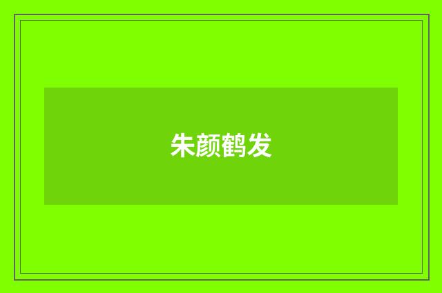 朱颜鹤发