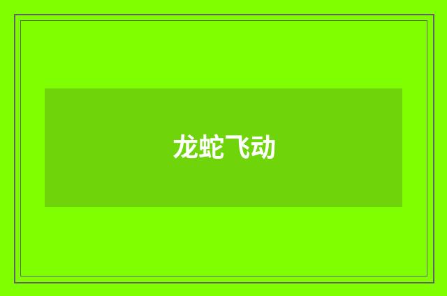 龙蛇飞动