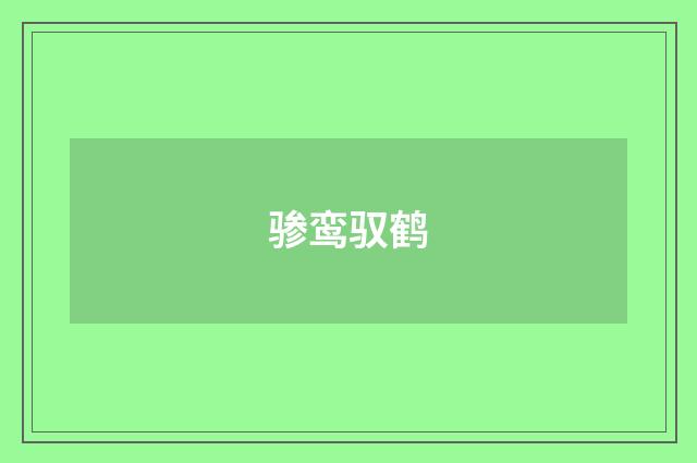 骖鸾驭鹤