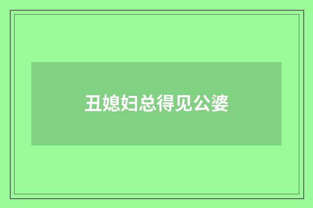 丑媳妇总得见公婆