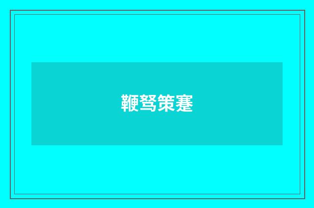 鞭驽策蹇