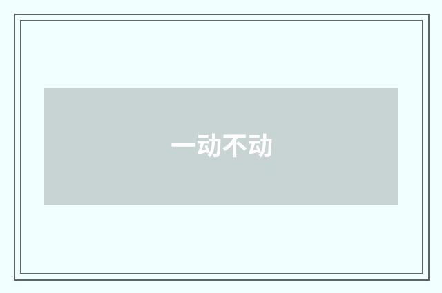 一动不动