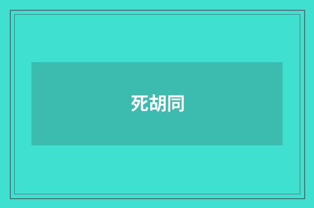 死胡同