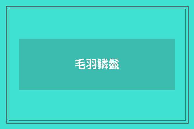 毛羽鳞鬣
