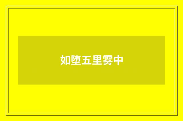 如堕五里雾中