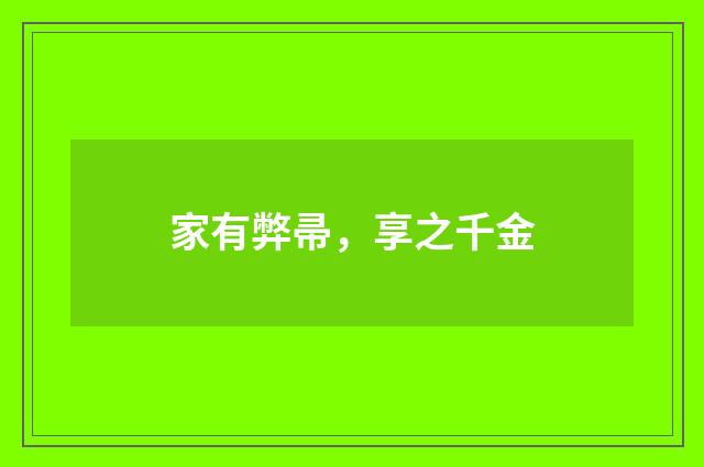家有弊帚，享之千金