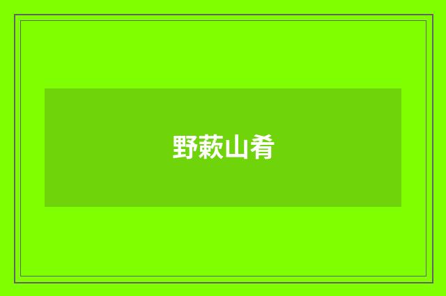 野蔌山肴