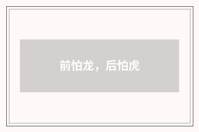 前怕龙，后怕虎