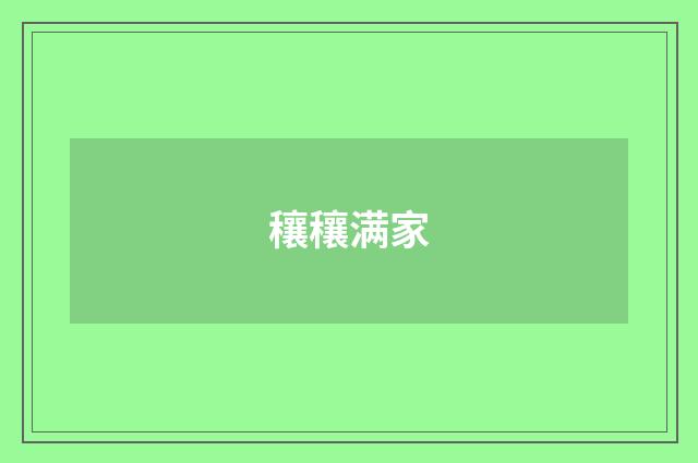 穰穰满家