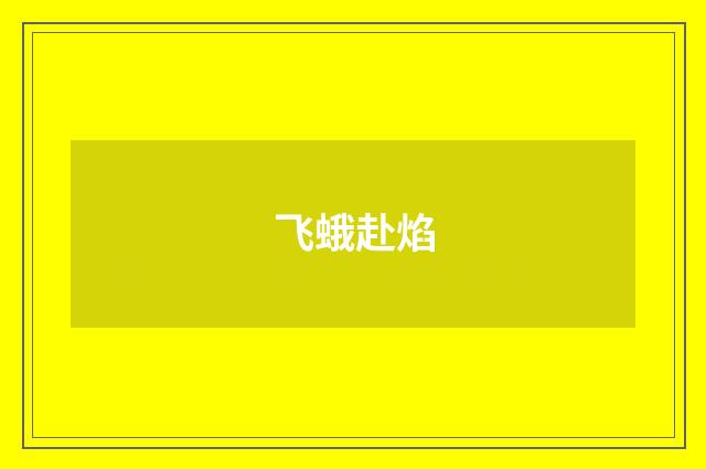 飞蛾赴焰