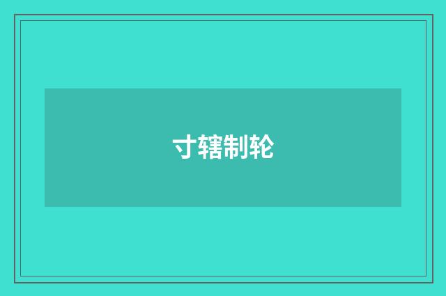 寸辖制轮