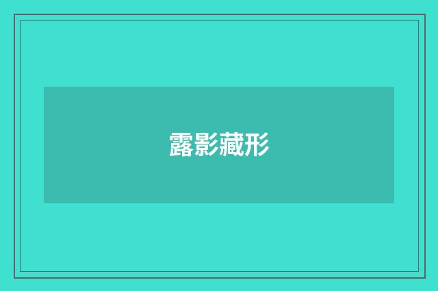 露影藏形