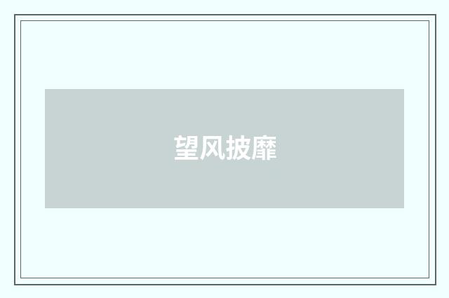 望风披靡