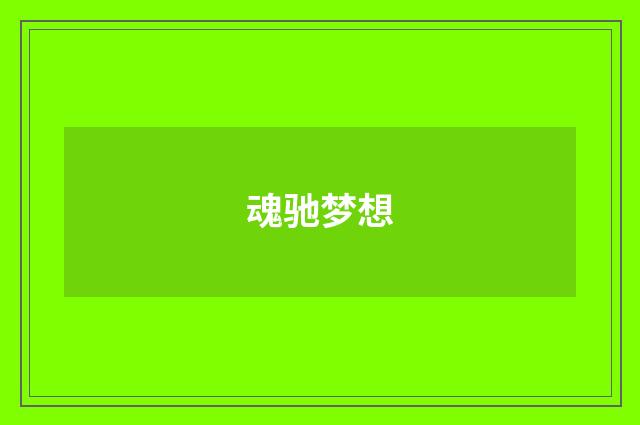 魂驰梦想