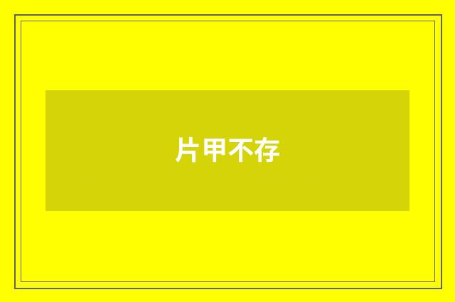 片甲不存