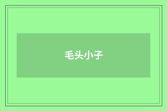 毛头小子