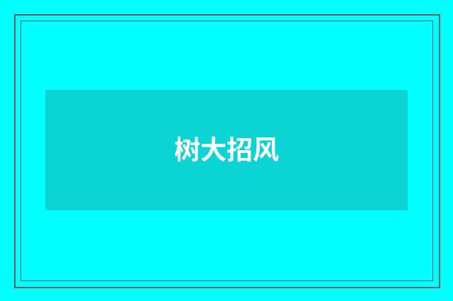 树大招风