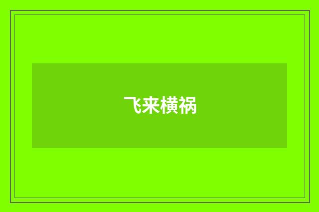 飞来横祸
