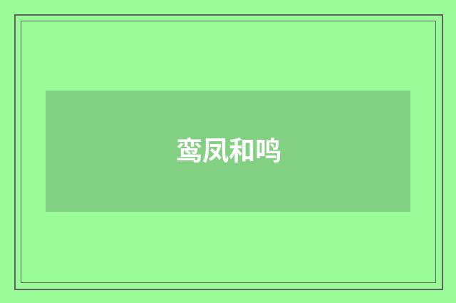 鸾凤和鸣