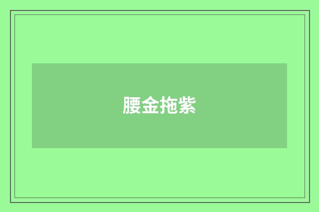 腰金拖紫