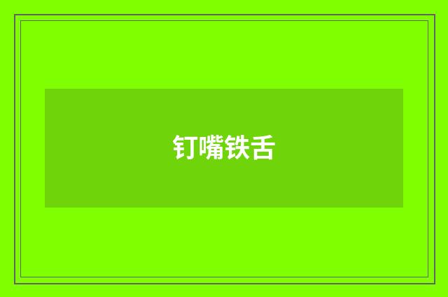 钉嘴铁舌