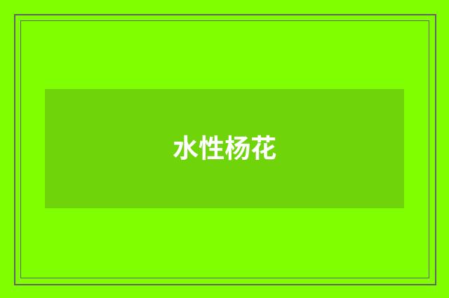 水性杨花