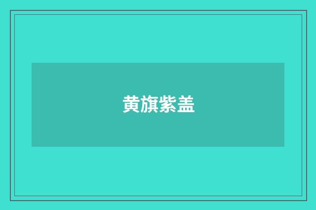黄旗紫盖