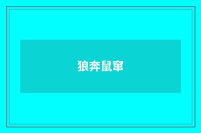 狼奔鼠窜