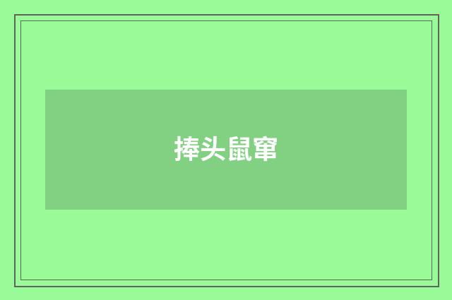 捧头鼠窜