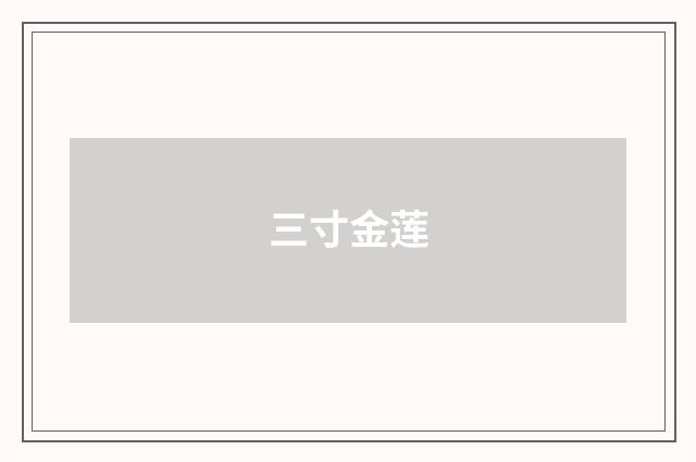 三寸金莲