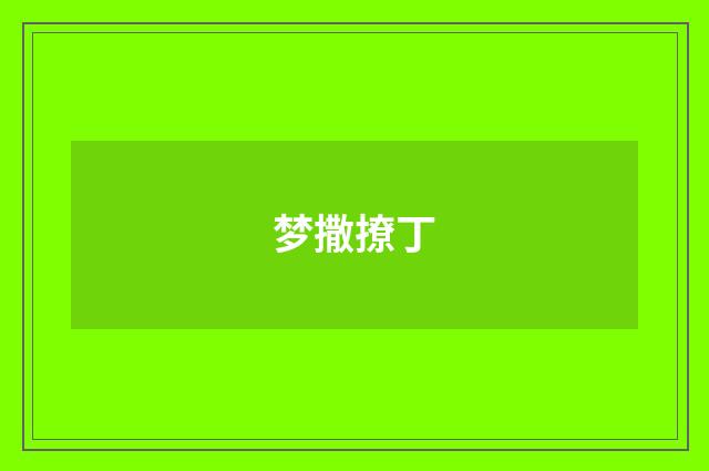 梦撒撩丁